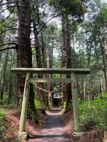 青山神社の鳥居