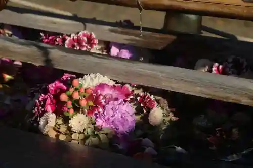 豊景神社の手水舎