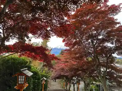 新倉富士浅間神社(山梨県)