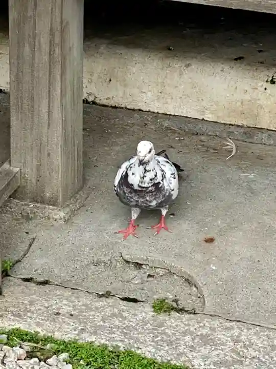 神泉苑(京都府)