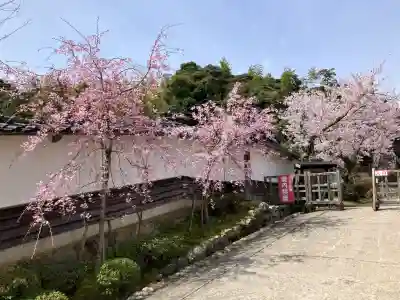 妙成寺の{uncategorized: "未分類", other: "その他", undefined: "問題あり", building: "その他建物", grave: "お墓", sacred_gate: "鳥居", guardian: "狛犬", statue: "像", buddha: "仏像", history: "歴史", nature: "自然", garden: "庭園", animal: "動物", pagoda: "塔", temizu: "手水舎", mountain_gate: "山門・神門", sanctuary: "本殿・本堂", subordinate: "末社・摂社", art: "芸術", scenery: "景色", jizo: "地蔵", ema: "絵馬", goshuin: "御朱印", omikuji: "おみくじ", items: "授与品その他", amulet: "お守り", goshuincho: "御朱印帳", eats: "食事", festival: "お祭り", votive_dance: "神楽", shichigosan: "七五三参", wedding: "結婚式", experience: "体験その他", initially: "初詣", around: "周辺", anti_infection: "感染症対策"}