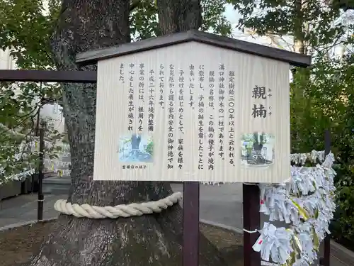 溝口神社の自然