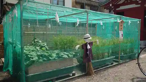浅草神社(東京都)