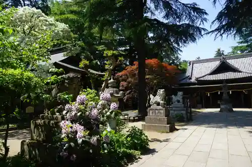 大宝八幡宮の自然