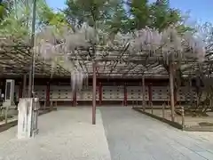 笠間稲荷神社の庭園