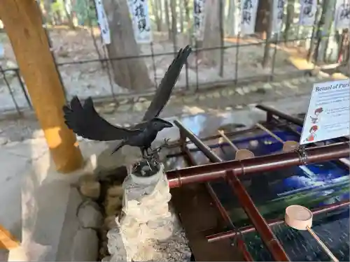 熊野本宮大社(和歌山県)