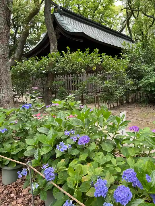 筥崎宮(福岡県)