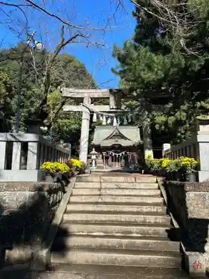 安房神社の鳥居