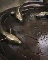 星宮神社(栃木県)