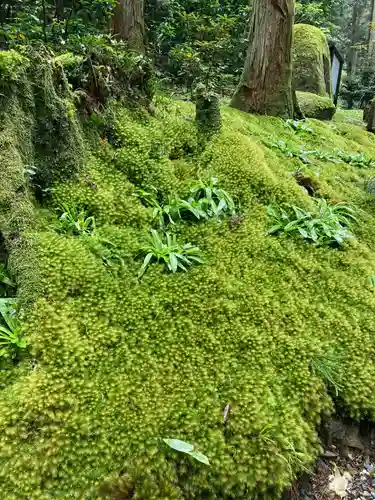 御岩神社の自然