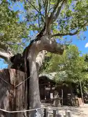 阿邪訶根神社(福島県)