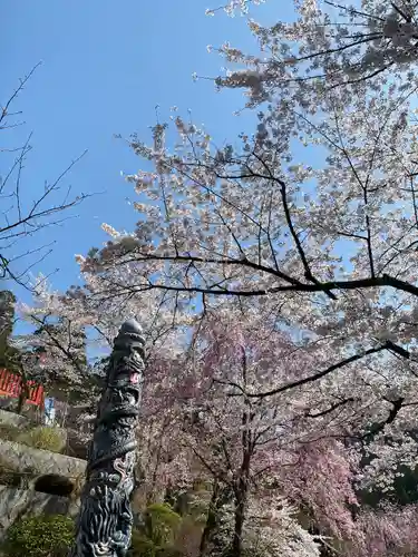 金櫻神社(山梨県)