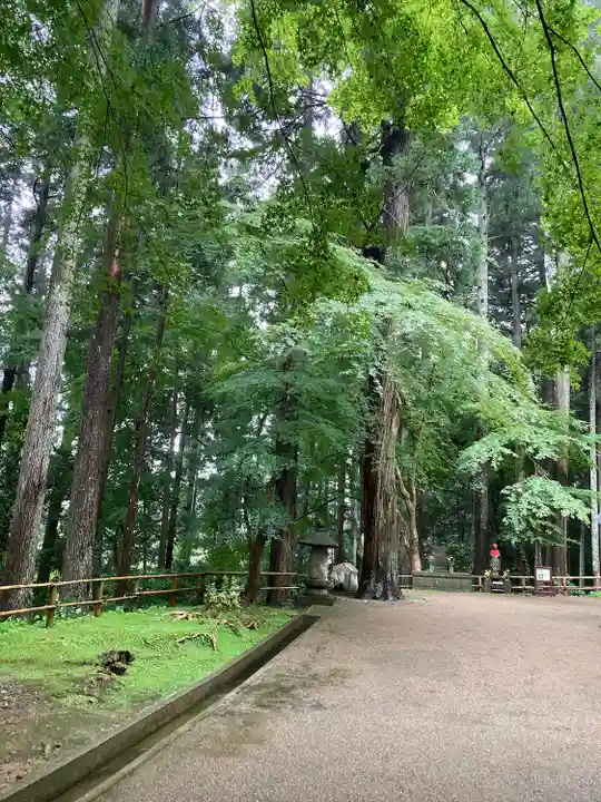 中尊寺(岩手県)