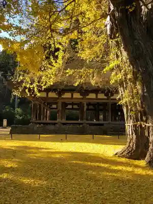 新宮熊野神社の本殿・本堂