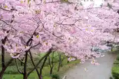 矢奈比賣神社（見付天神）(静岡県)