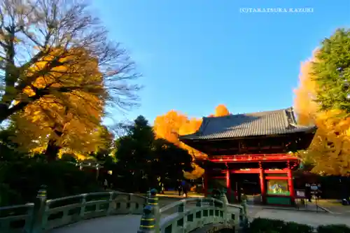 根津神社(東京都)