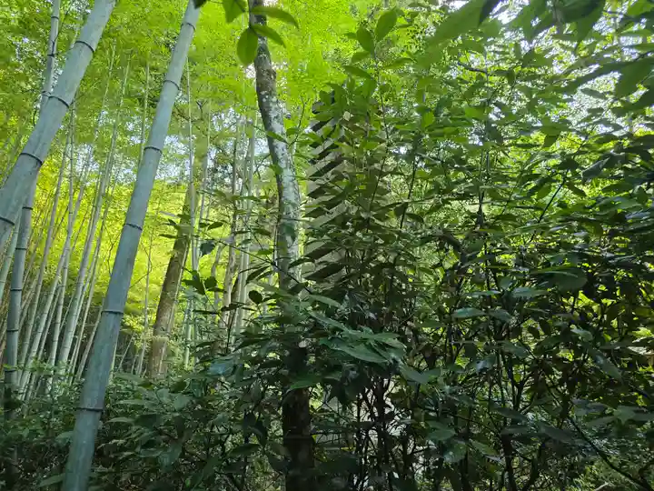 滝口寺(京都府)