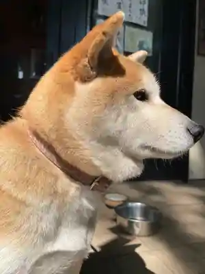 笠䅣稲荷神社(神奈川県)