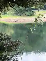 多鯰ヶ池弁天宮(鳥取県)