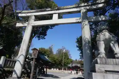 秩父神社の鳥居