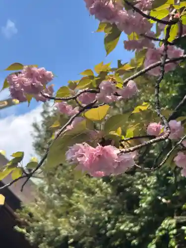 東京大神宮(東京都)