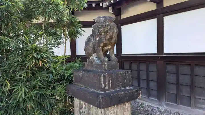 京都乃木神社の狛犬