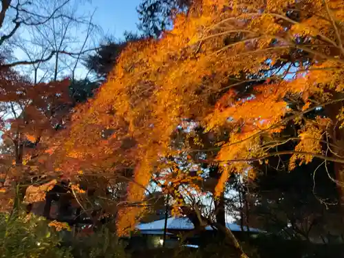 東漸寺(千葉県)