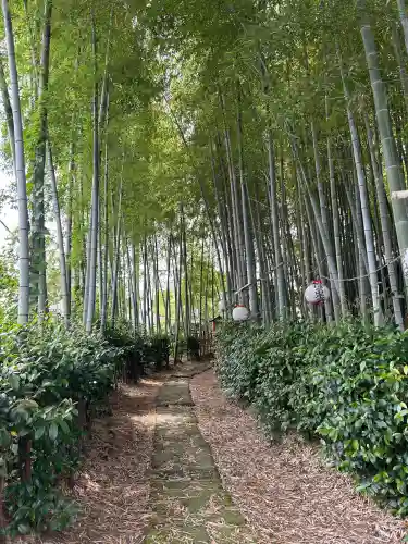 瓊寶庫山本宮(東京都)