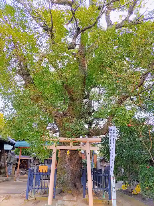中山神明社の末社・摂社