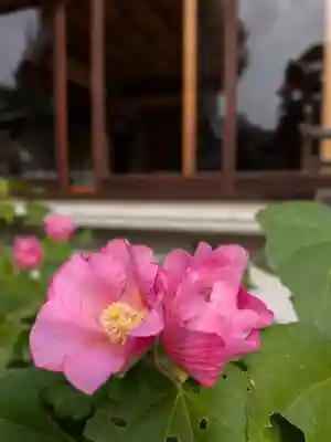鳩森八幡神社(東京都)