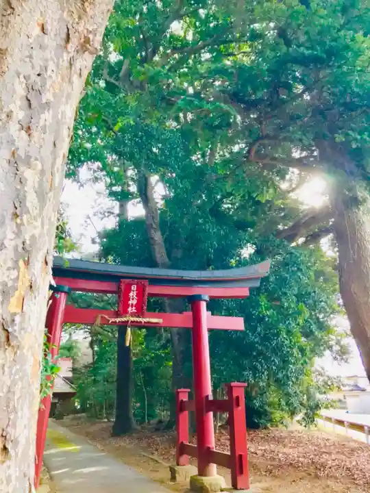日枝神社の鳥居