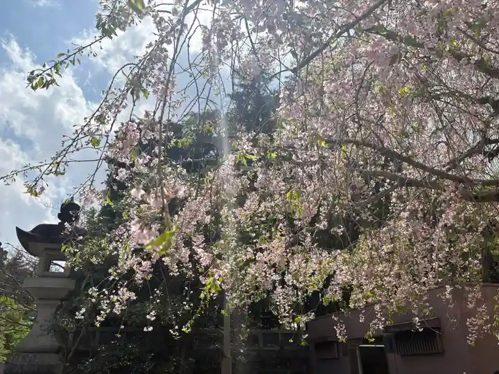 成田山新勝寺(千葉県)