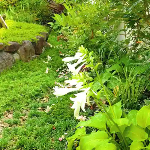 寿量山　速成寺の自然