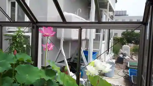 極楽山　浄土寺(北海道)