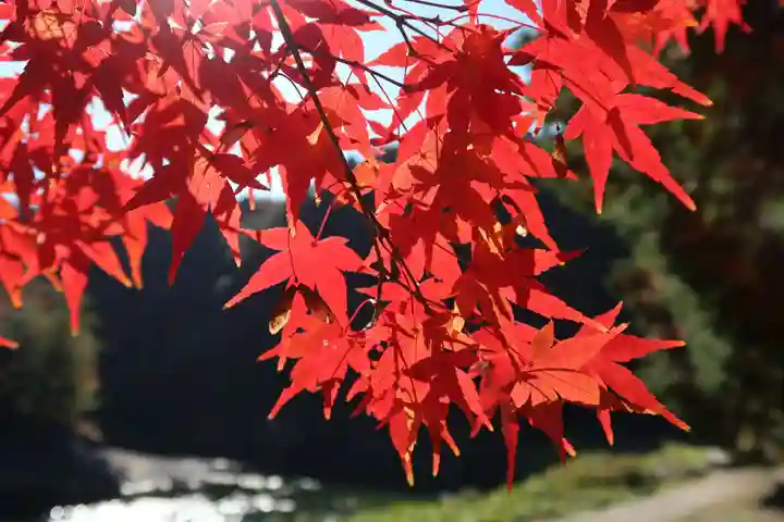 永保寺(岐阜県)