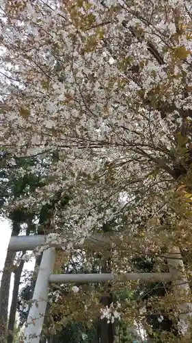 酒門神社の庭園