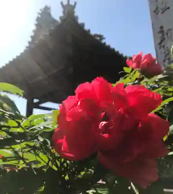 真言宗　善通寺派　薬王寺のその他建物