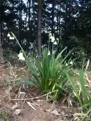 大生郷天満宮の自然