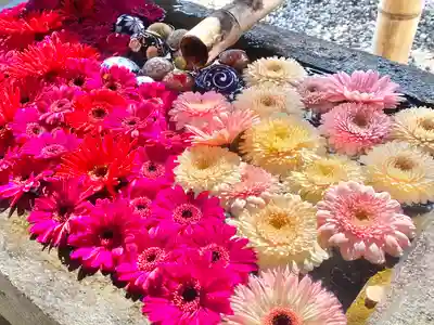 宝林寺(静岡県)