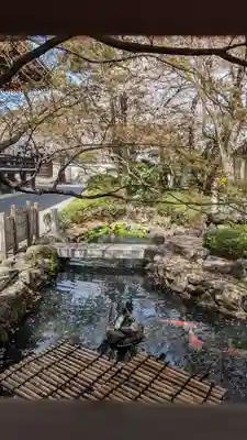 妙顯寺（妙顕寺）(京都府)