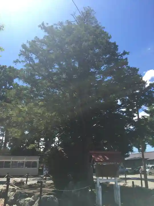 豊栄神社(北海道)