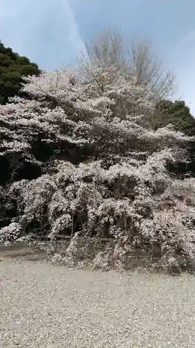 栃木縣護國神社の自然