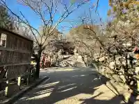 氷室神社(奈良県)
