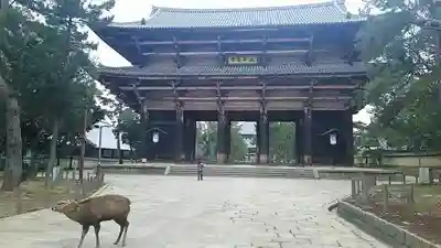 東大寺の山門・神門