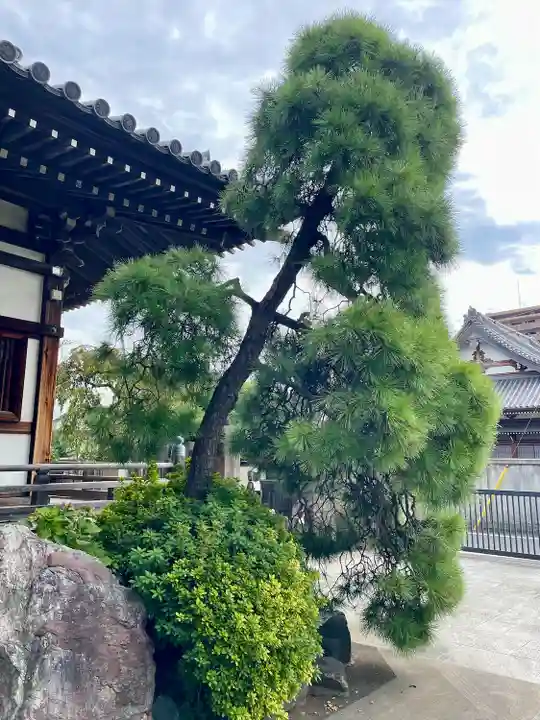 自性院(東京都)