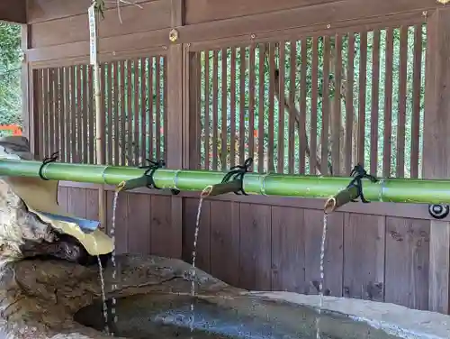 賀茂御祖神社（下鴨神社）(京都府)