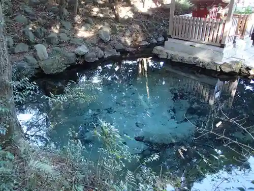 泉神社の庭園