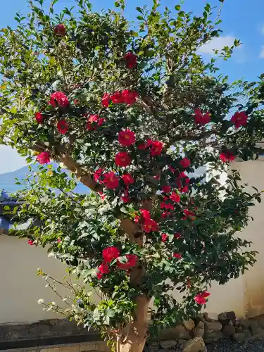 浄運寺(兵庫県)