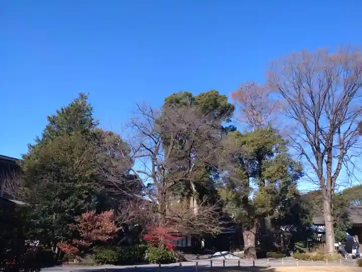 阿佐ヶ谷神明宮のその他建物