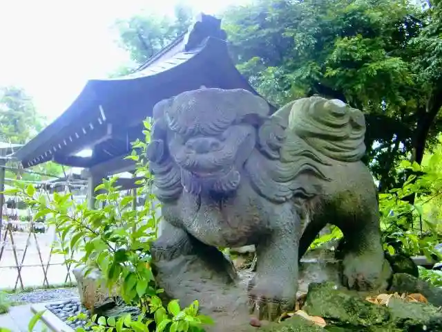 菊田神社の狛犬